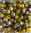Perles bicolores jaune/doré 4x3mm x50