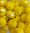 Perles à facettes jaunes 8x6mm x20.