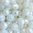 Perles à facettes blanches 6x5mm x30
