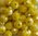 Perles à facettes jaunes 6x5mm x30.